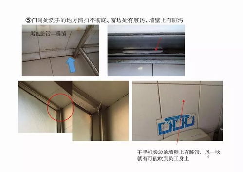 食品企业工厂监查结果