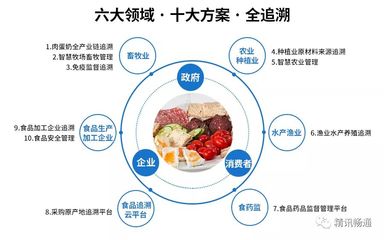 如何用物联网技术“解决”地沟油等餐饮安全问题