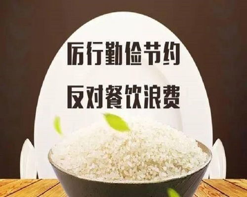 餐饮企业在治理 舌尖上的浪费 方面大有可为