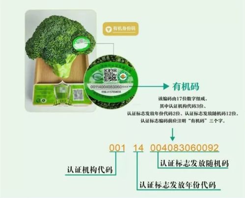 标榜 有机蔬菜 实则并不 有机 上海一餐饮公司被处罚