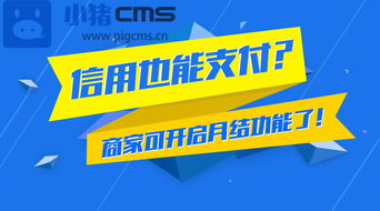 小猪电商管理系统信用月结功能开启,餐饮行业结账更便捷