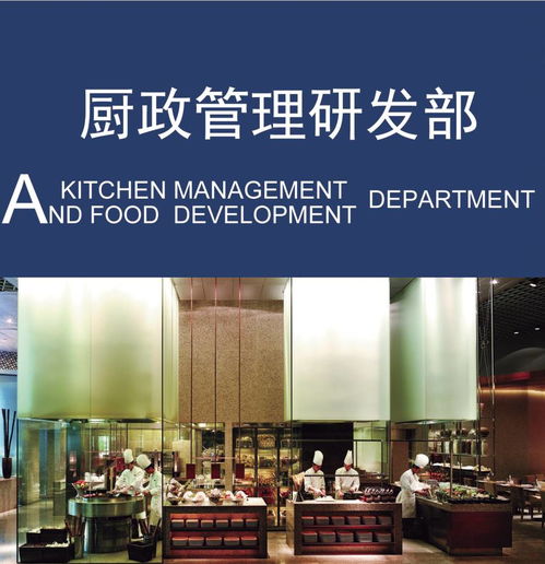 现代国际第六部 厨政管理研发部