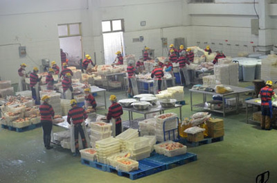 老乡鸡模式成为餐饮行业新标杆